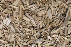 biomass boilers Flaxholme